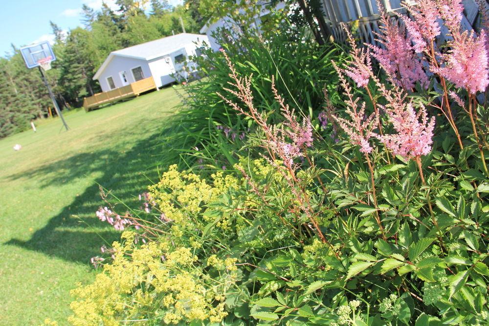 Hidden Acres Cottages Cavendish Eksteriør bilde