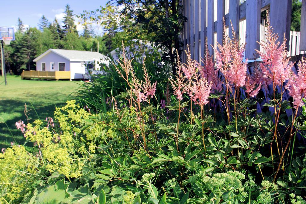 Hidden Acres Cottages Cavendish Eksteriør bilde